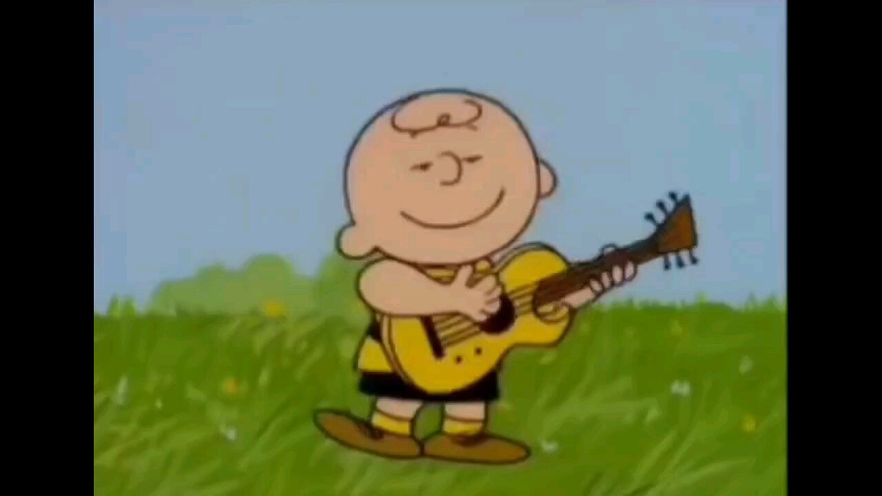 More Than a Feeling Cover by: The Charlie Brown Band 😎