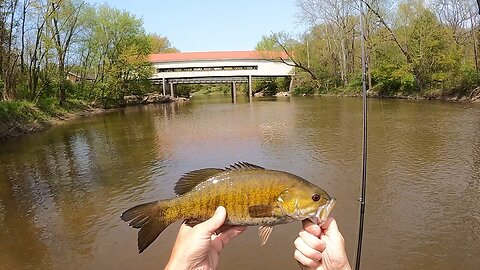 Beautiful Bass Outing On A Scenic Stream