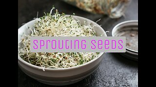 Eat healthier! Make growing seeds easier!