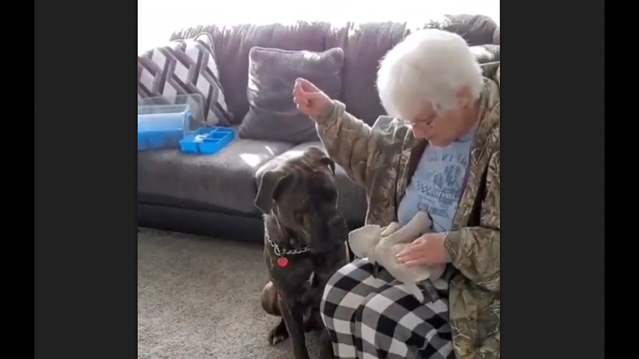 Waiting patiently while grandma fixes his favorite toy