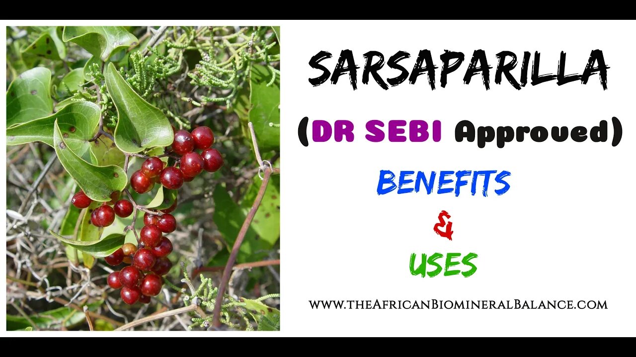 SARSAPARILLA - BENEFITS & USES (DR SEBI APPROVED)