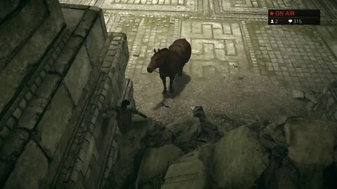 Exploration Collectibles with Tim Madone | Shadow of the Colossus | Livestream