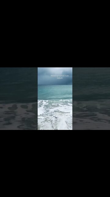 Calm your mind with this