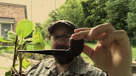 Could It Be? A Codger Semois Blend???