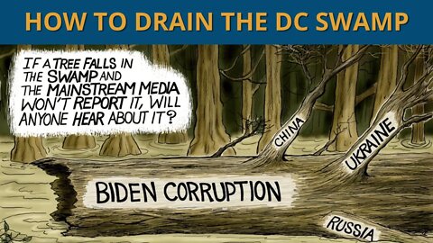 How to Fire the DC Swamp