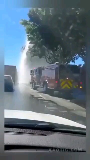 Play Stupid Games Win Stupid Prizes