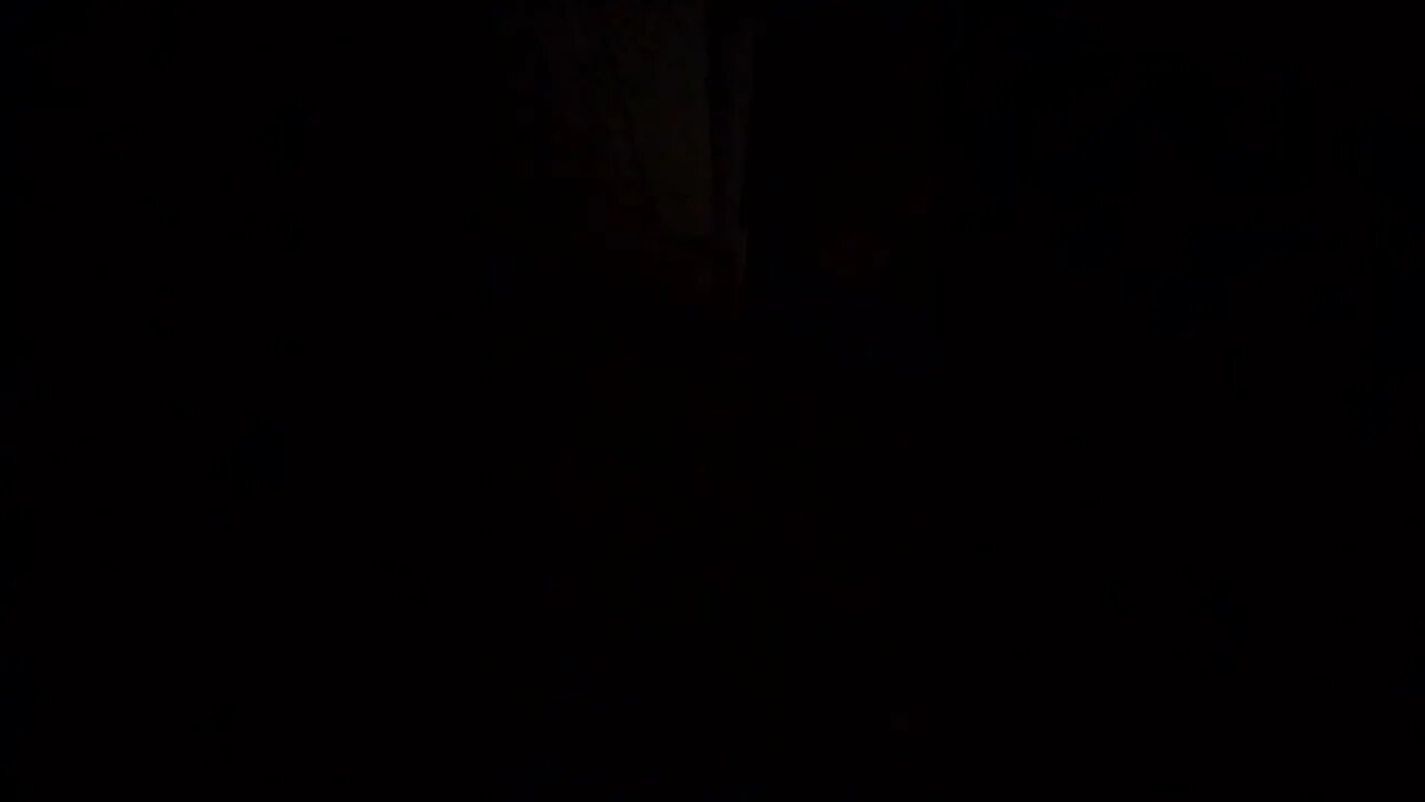 They startled me out of my nap. They're still here, unfortunately. Gang Stalking motel neighbors