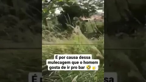 HOMEM JUMENTO ATACA NOVAMENTE #boteco #viral #meme #shorts