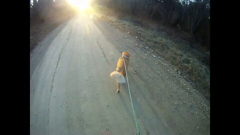 November 16th, 31º Flynn and I head South, traffic much lighter this morning.