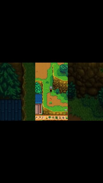 my best friend linus