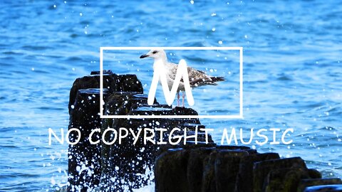 LiQWYD - Summer Nights（Mm No Copyright Music）