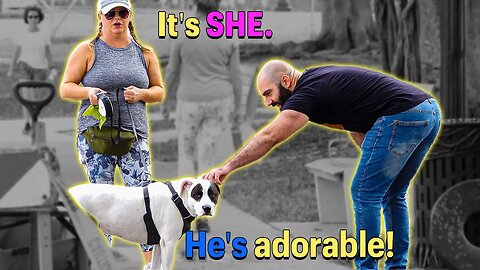 Misgendering Dogs Prank!