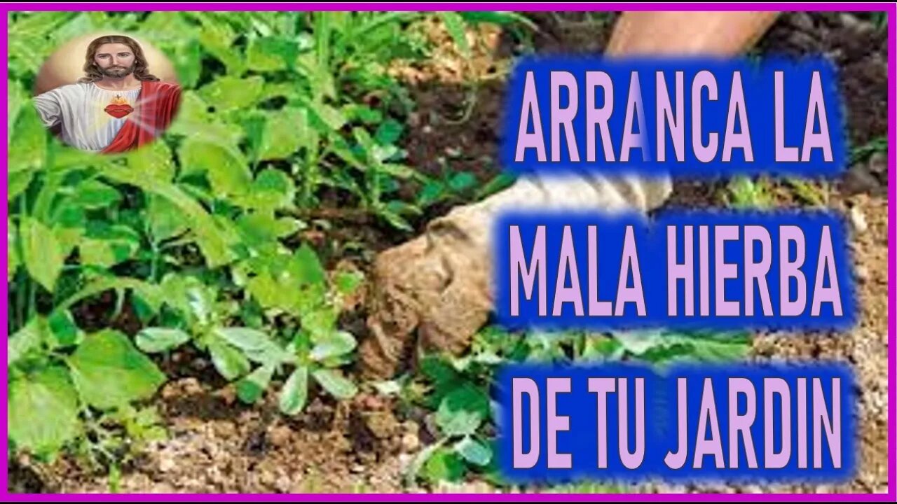 MENSAJE DE JESUCRISTO REY A VALENTINA PAPAGNA - ARRANCA LA MALA HIERBA DE TU JARDIN