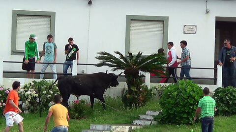 Tourada RB - Largo Igreja São Mateus 2015 - Ilha Terceira - Açores