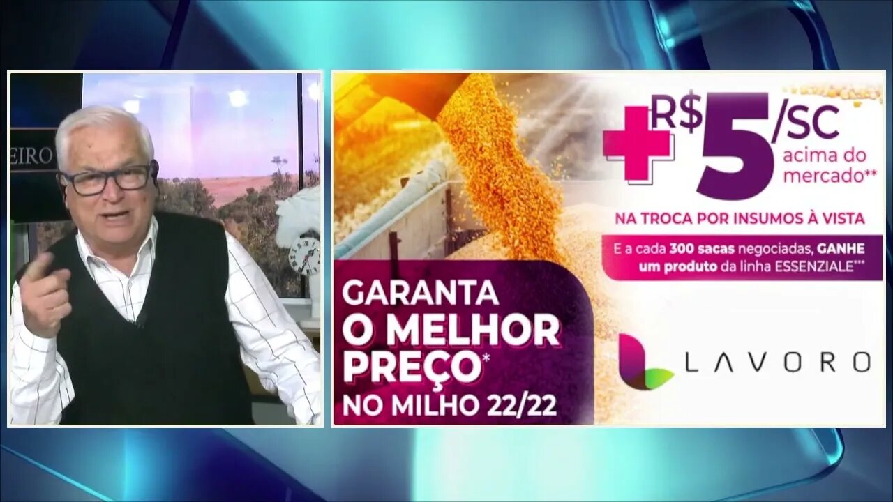 Milho ganha bônus de R$5,00 saca em RO e no MT. Oportunidade de bons negócios