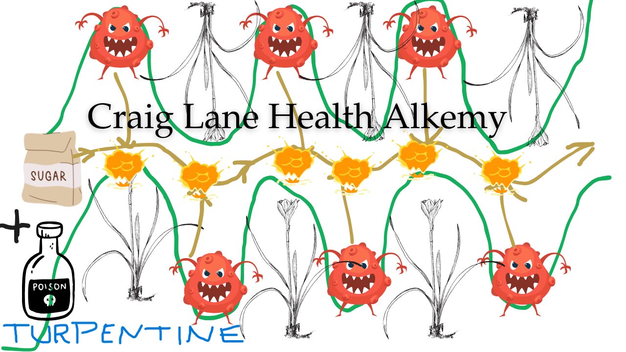 Health Alkemy Craig Lane Comm-Unity Talks - Internal Garden and Weeds and BAD BUGS!