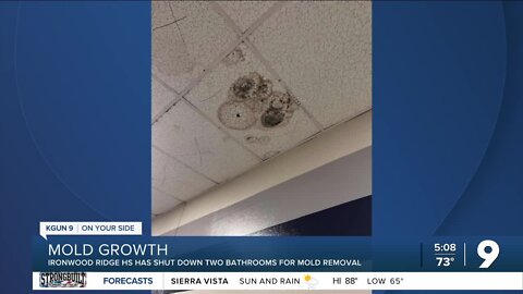 Ironwood Ridge HS shuts down two bathrooms for mold removal