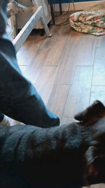 Billy and Luna in the construction