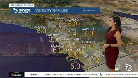 ABC 10News Pinpoint Weather with Weather Anchor Vanessa Paz