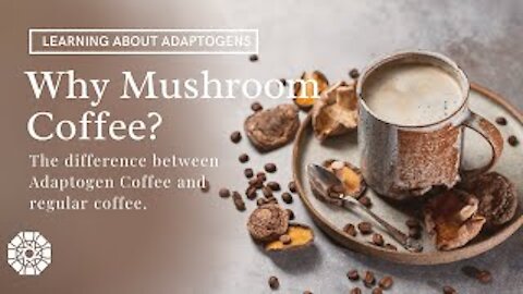 Mushroom Coffee VS Regular Coffee | Adaptogen Coffee | Learn Side effects and Benefits of both