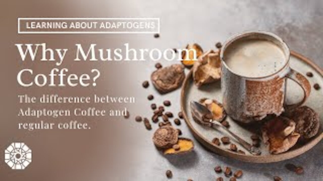 Mushroom Coffee VS Regular Coffee | Adaptogen Coffee | Learn Side effects and Benefits of both