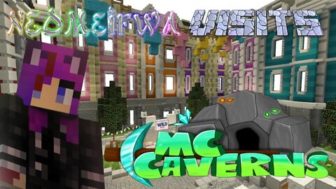 NEOMeifwa Visits: McCaverns Network Server