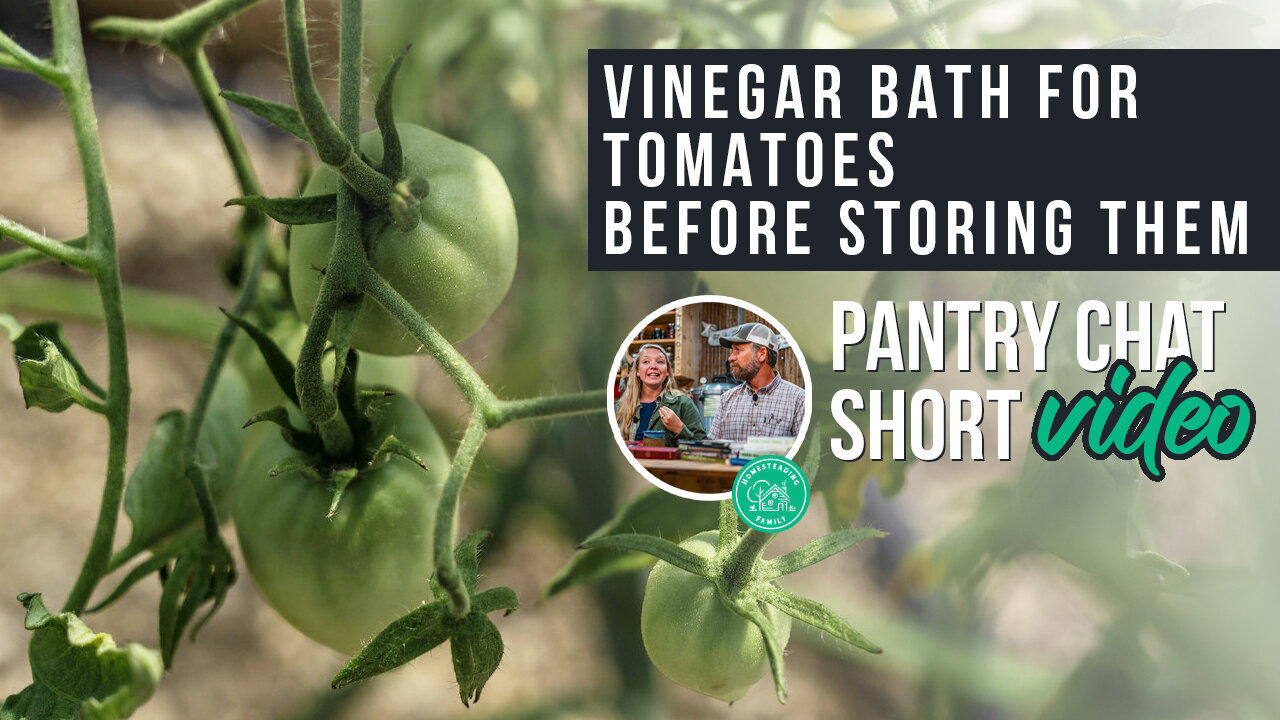 Rinsing Tomatoes in Vinegar BEFORE Storing? | Pantry Chat Podcast SHORT