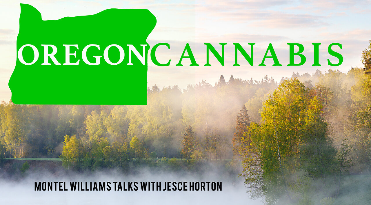 HOW TO BE AN ENVIRONMENTALLY FRIENDLY CANNNABUSINESS | JESCE HORTON