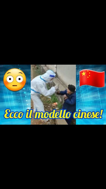 NONNINA CINESE RIFIUTA IL...!
