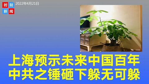 上海是预示未来一百年的大河，生活之锤砸下时你躲无可躲。《时刻新闻》