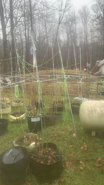 Merry Christmas & happy new year 2024