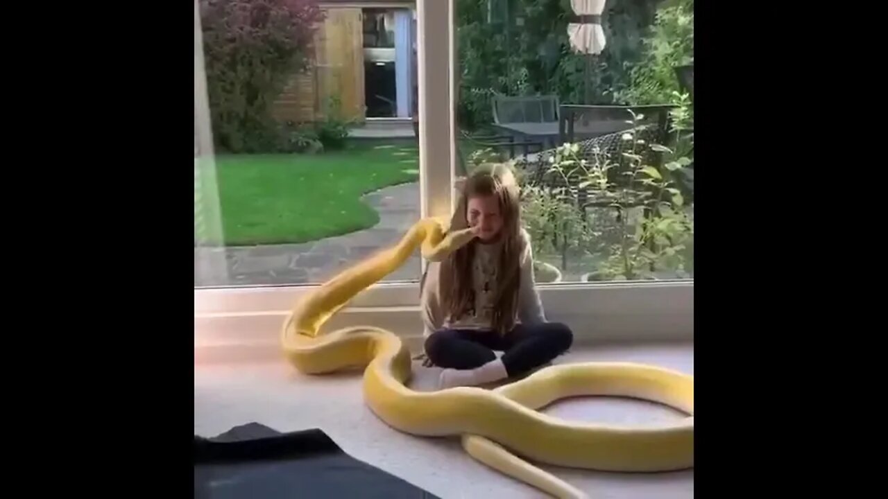 A girl with a giant pet snake