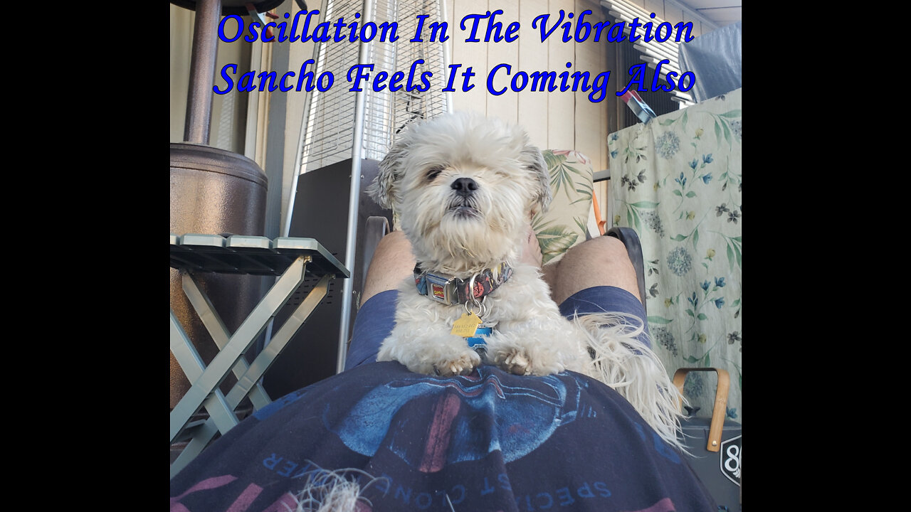 Oscillation In The Vibration