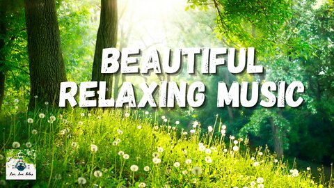 Beautiful Relaxing Music for Stress Relief ~ Calming Music ~ Meditation, Relaxation, Sleep, Spa