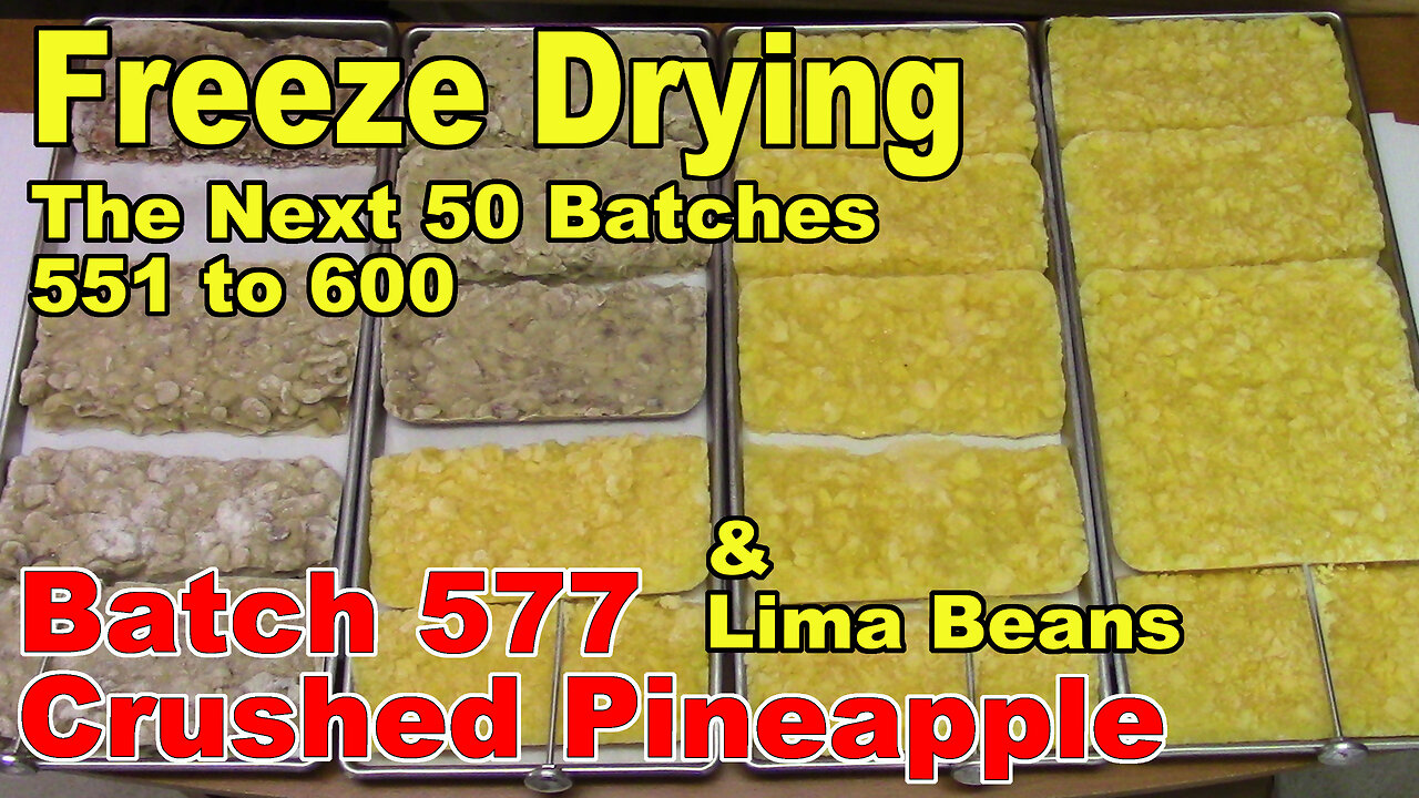 Freeze Drying - The Next 50 Batches - Batch 577 - Crushed Pineapple & Lima Beans w/Bacon and Onions