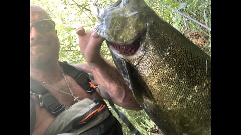 Day 2 Salmon Raun _ I Land My First King Of THE Year... Kind of LOL