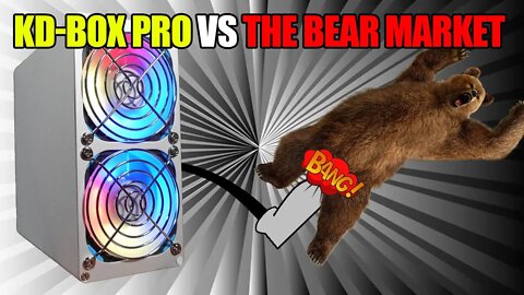 KD-BOX PRO VS. The Bear Market | Still Making Bank?