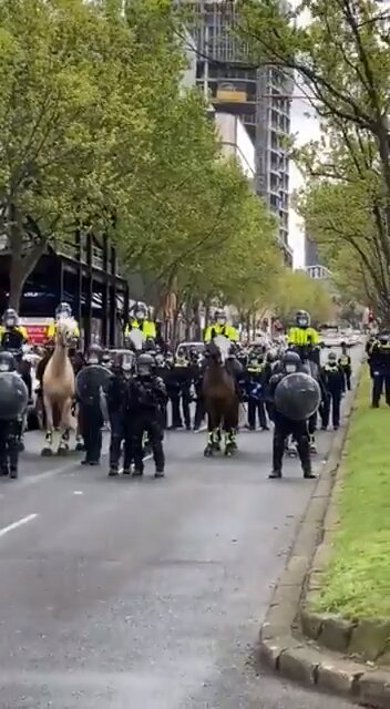 Aussie N A Z I at full force