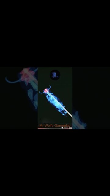 Perfect bullseye #callofthewild #cotw #game #mrandmrswolfgaming #shorts