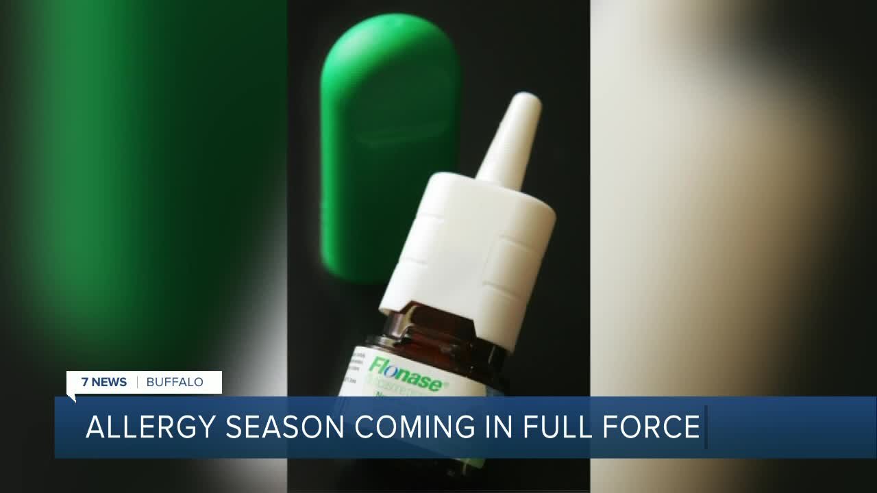 Ways to get ahead of allergy season as it is on the cusp of coming back