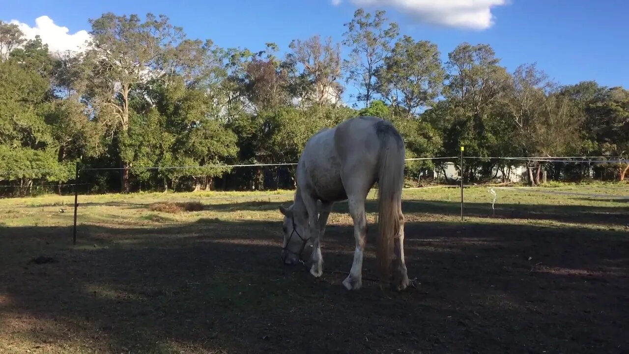 Sitting with her while she eats day 2 or 3? - 19/6/2019