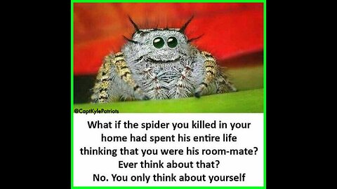 I’m laughing way too hard at this 🤣 🤣 🤣