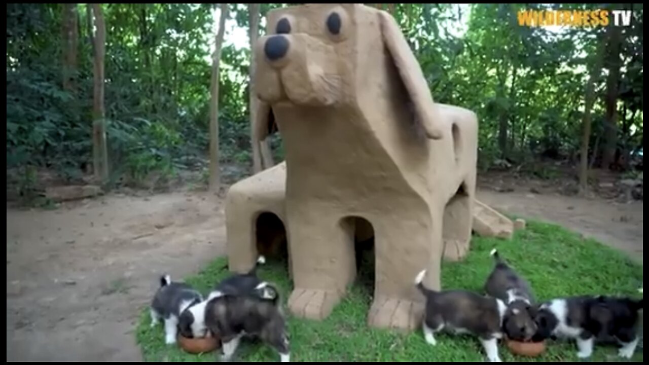 Hand made DOG structure home for Puppies 🐶