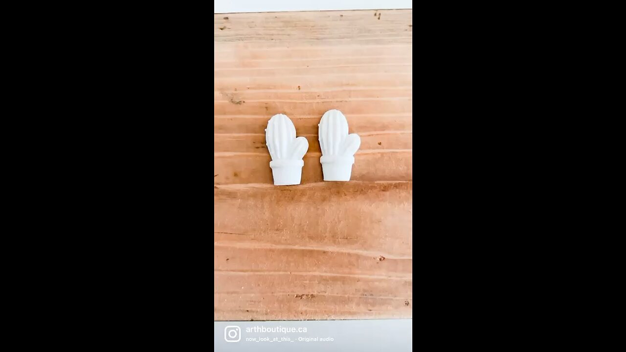 painted cactus resin earings