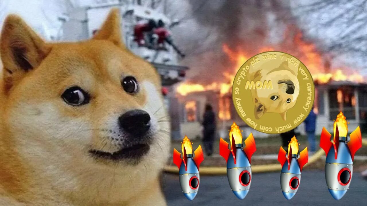 🚨 DOGECOIN COLLAPSE 🚨