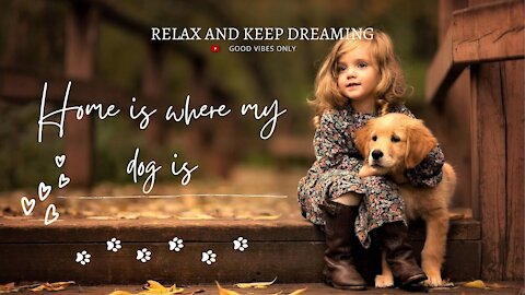 Sentimental and Relaxing Images with Music to Enjoy the Day with Your Dog!