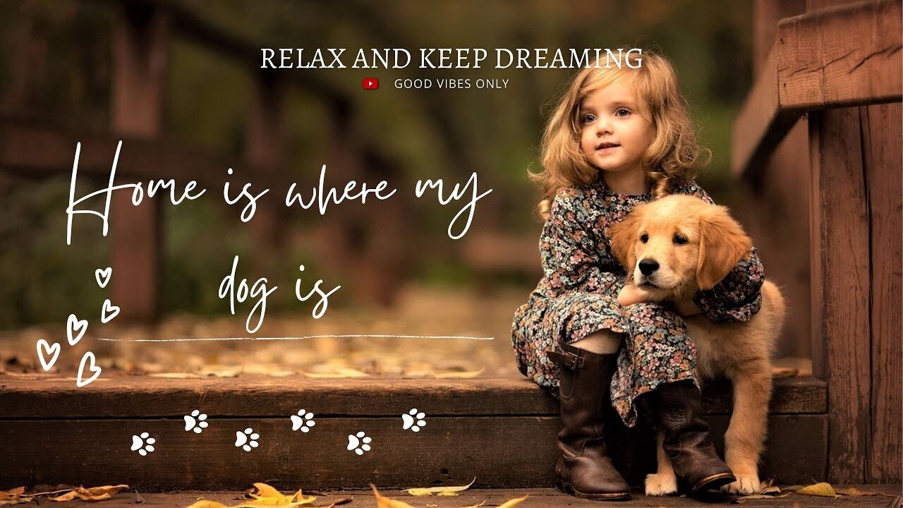 Sentimental and Relaxing Images with Music to Enjoy the Day with Your Dog!