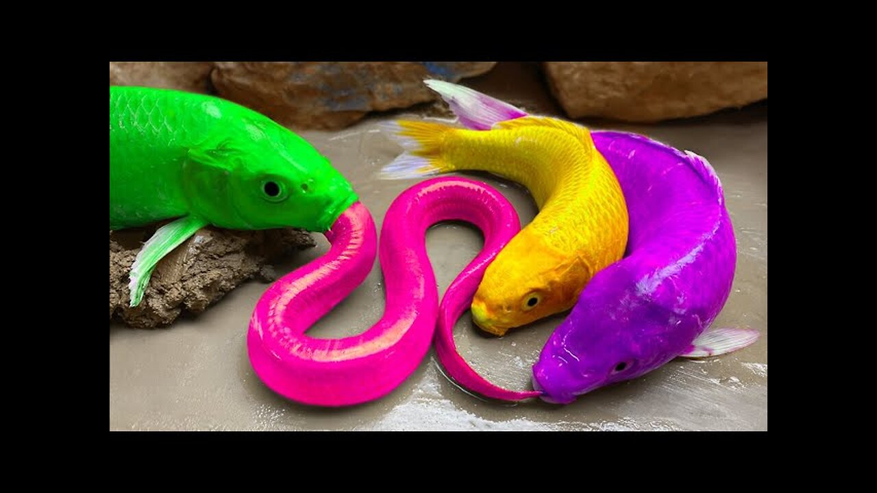 Pink Crocodile Koi Carp Goldfish | Cute Duckling Funny Video | Cartoon Funny Animation