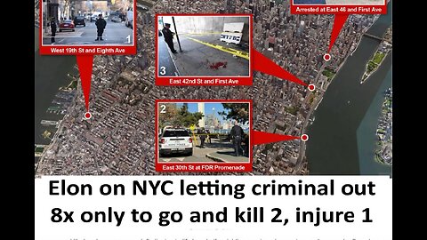 Elon on man killing 3 after NYC let him out had 8 previous arrest