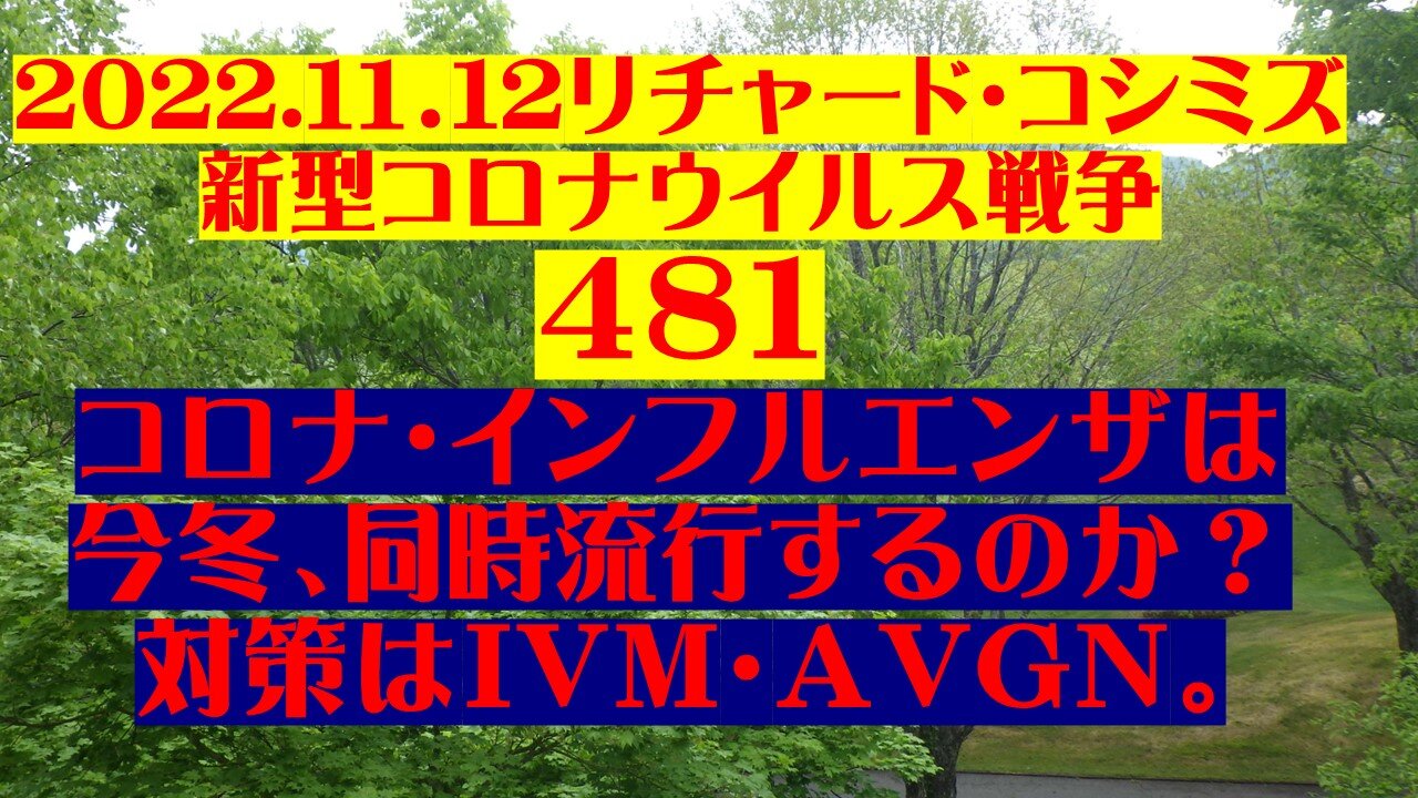 2022.１１．12リチャード・コシミズ 新型コロナウイルス戦争 ４８１